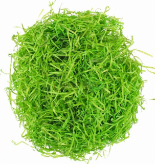 Tráva dekorační dřevěná, zelená, 50g