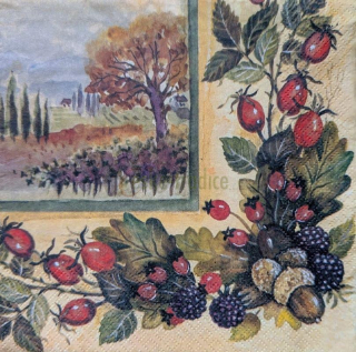 Ubrousek pro decoupage, 33 x 33 cm (vzor - šípky / žaludy)